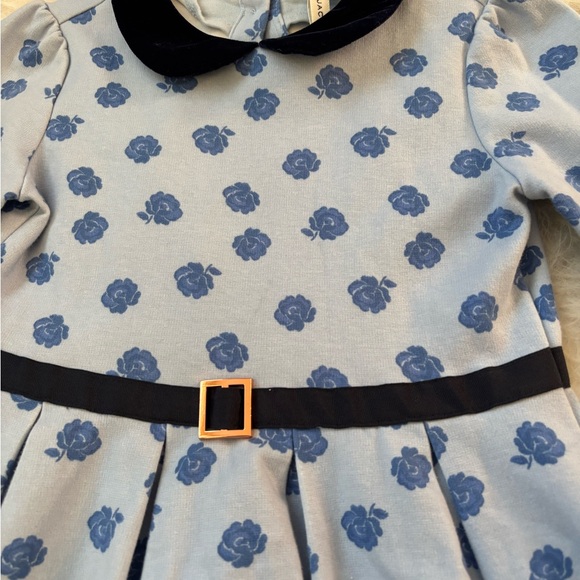 Janie and Jack Beautiful Blue Floral Dress - Picture 2 of 3